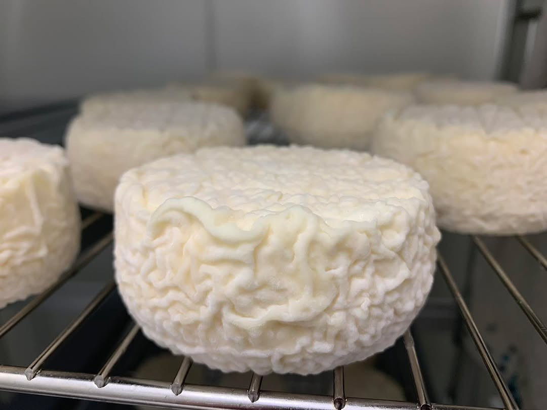Little Cedar Mokoan Night Goat's Cheese 120g