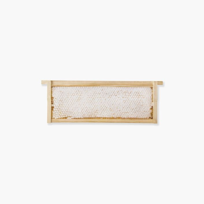 Malfroy's Gold Wild Honeycomb Wooden Frame 750g