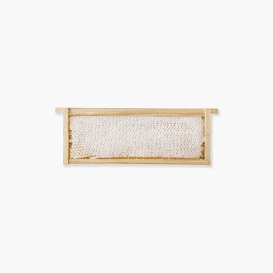 Malfroy's Gold Wild Honeycomb Wooden Frame 750g