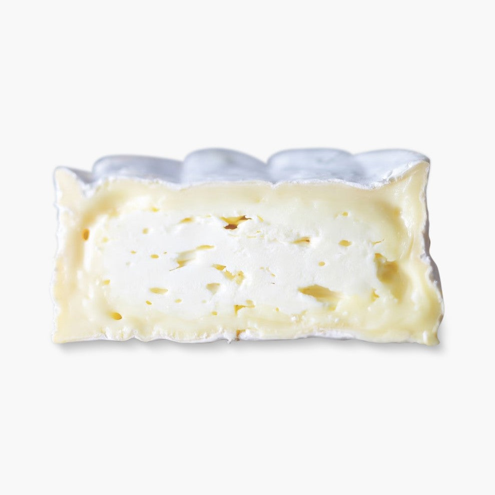 Will Studd Le Conquerant Camembert Cheese 150g